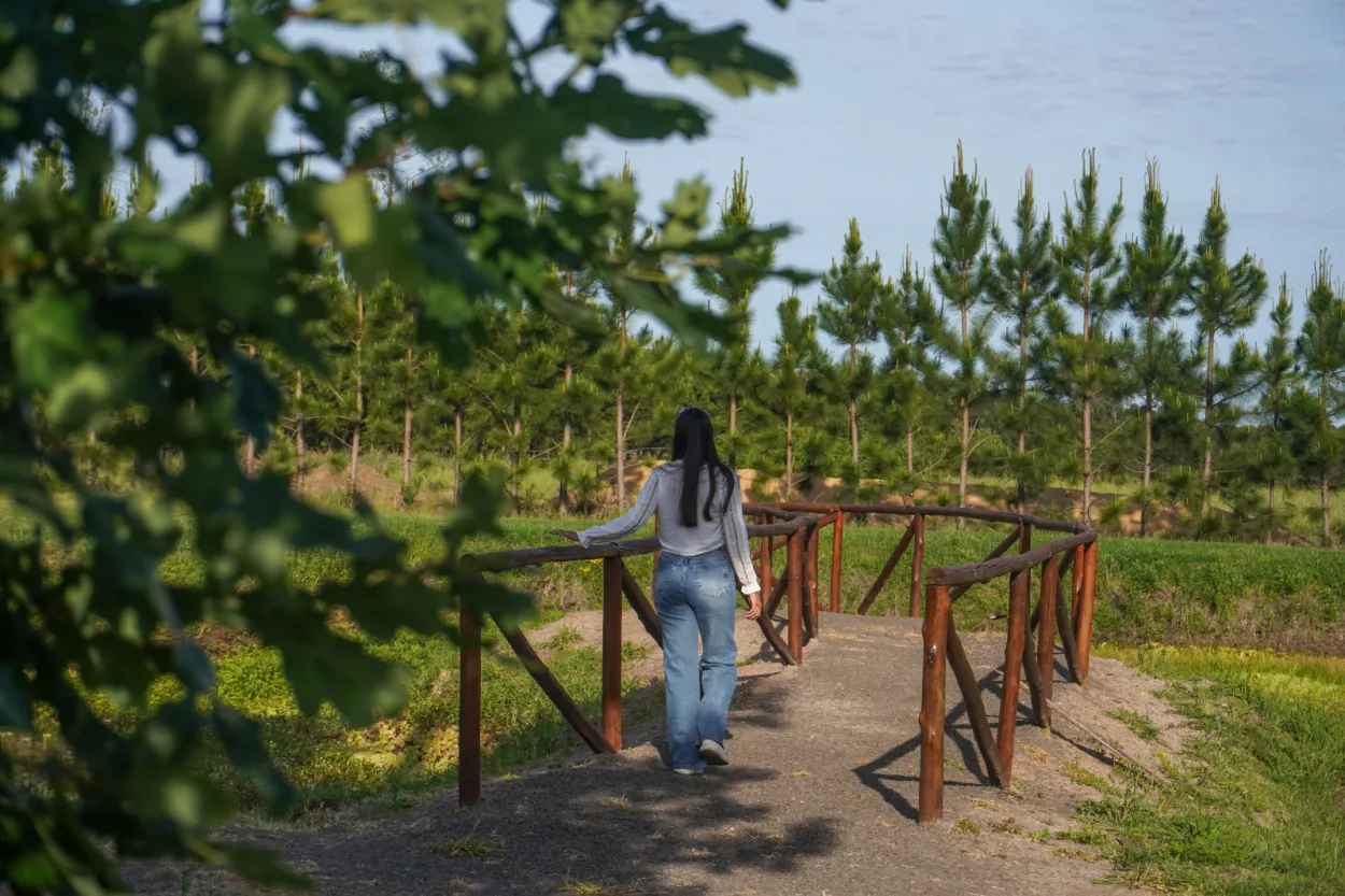 La ruta del vino que sorprende en Entre Ríos: viñedos, Tannat y picnics a menos de 5 horas de Buenos Aires