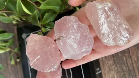 ¿Cómo armar tu elixir de cuarzo rosa? Cuarzo Rosa