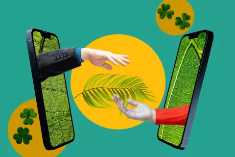 Medioambiente: 6 acciones individuales para cuidar el planeta 6 acciones individuales que pueden marcar la diferencia.