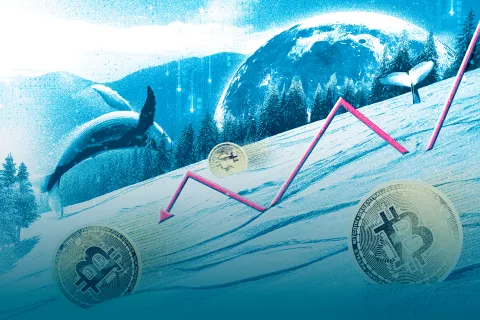 Criptoinvierno: las claves para entender la caída de las criptomonedas ¿Qué onda con el criptoinvierno?