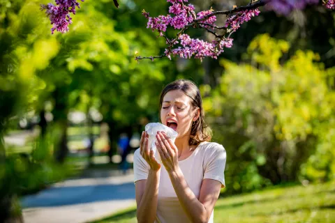 Alergias de primavera: cuáles son, cómo prevenirlas y cómo tratarlas Alergias: ¿cómo combatirlas?