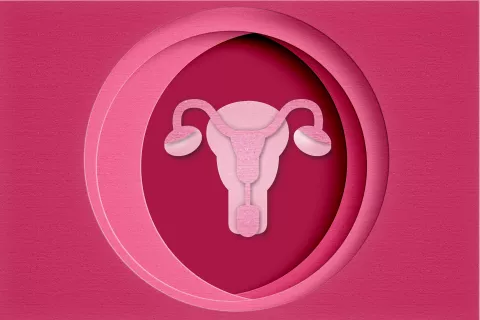 La importancia de la gestión menstrual.