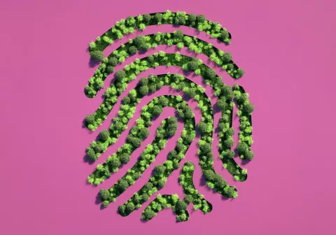 ¿Qué es la tecnología sustentable? Qué es la tecnología sustentable