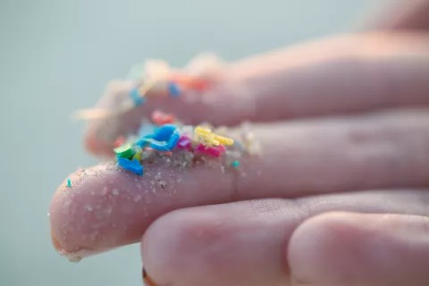 Aumenta el plástico en los océanos Advierten gran cantidad de microplásticos en distintas áreas del Mar Argentino