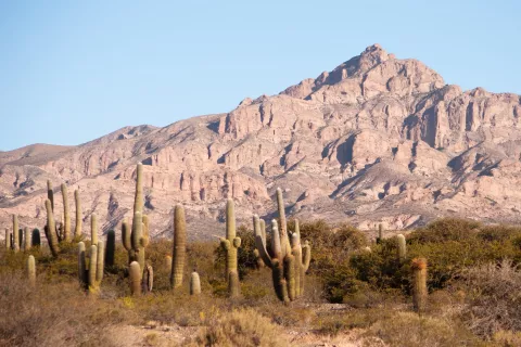 Valles Calchaquíes: lo que tenés que saber antes de visitar los viñedos más altos del mundo Viñedos que deberías visitar en los Valles Calchaquíes.