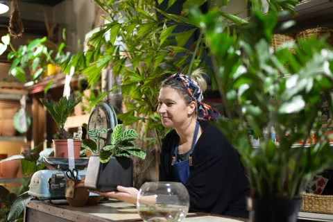 Recorridos: 5 viveros en Buenos Aires Mood Botánico