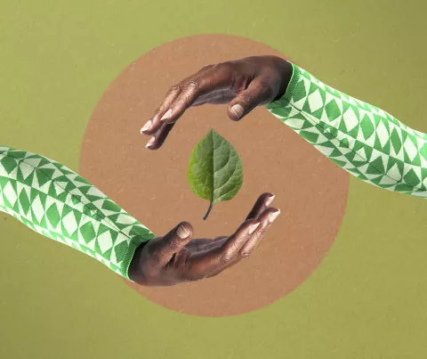5 aplicaciones eco para ayudarte a ser más sustentable Sustentabilidad y tecnología