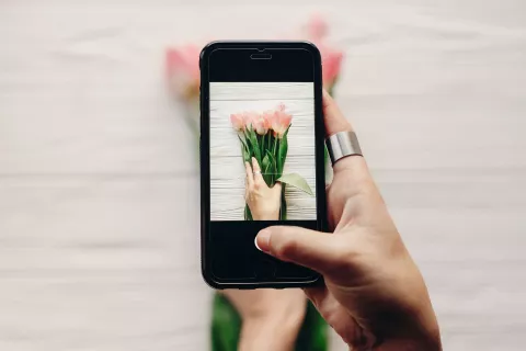 Instagram: cómo comunicar tu producto Instagram: cómo entender su algoritmo.