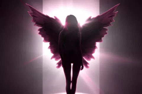 Victoria’s Secret: las 4 revelaciones más escandalosas que muestra el nuevo documental Dónde podés ver el nuevo documental sobre los oscuros secretos de Victoria's Secret.