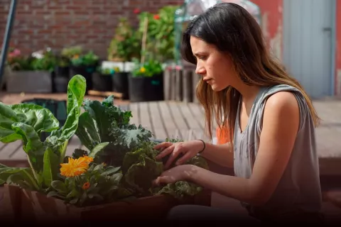 Emprendedores: crearon un negocio exitoso de huertas urbanas Florencia Gallino, creadora de Sitopia.