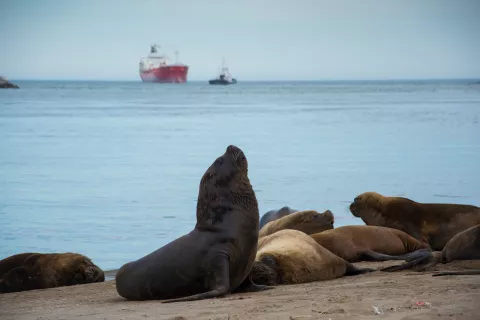 Finde XXL: 5 lugares que no te podés perder en Mar del Plata Mar del Plata es un destino muy elegido para una escapada