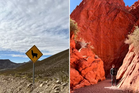 Visitar la puna argentina: qué tenés que saber para hacer un roadtrip familiar Cómo organizar tu roadtrip en la puna argentina.