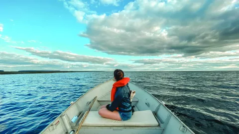 Corrientes: los 6 imperdibles si visitás los Esteros de Iberá Los 6 imperdibles si visitás los Esteros de Iberá.
