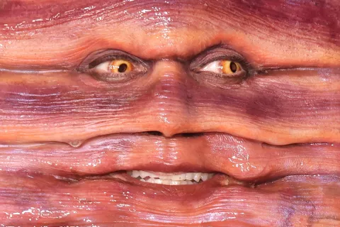 Halloween: el extravagante disfraz de Heidi Klum que se hizo viral Heidi Klum eligió ser un gusano para Halloween.