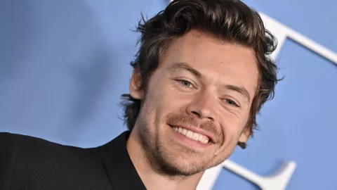 Harry Styles: así se ve después de que un artista lo envejeciera mediante IA Harry Styles fue una de las personalidades que el artista turco retrató.