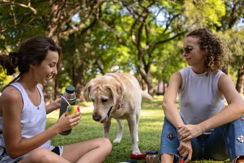 Día del Mate: los 3 errores más comunes de los amantes del mate Conocé los 3 errores más frecuentes al tomar mate.