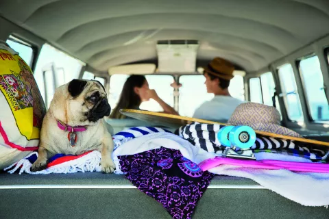 Viajar a Brasil en auto: estas son las claves para hacer el viaje Brasil: una guía para viajar en auto