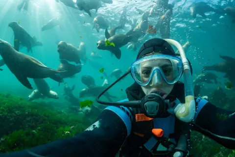 Puerto Madryn: las 6 cosas que no podés dejar de hacer si visitás la ciudad 7 cosas que tenés que hacer si visitás Puerto Madryn.