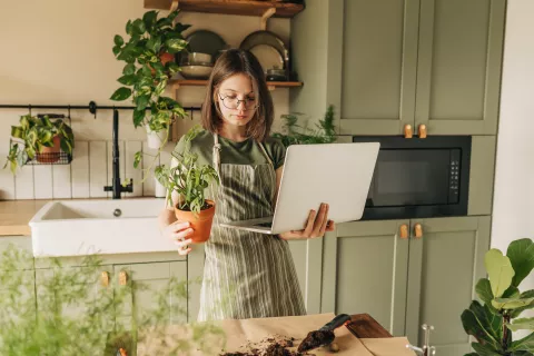 En casa: 5 lecciones para armar una huerta en tu jardín 5 lecciones para armar una huerta en tu jardín.
