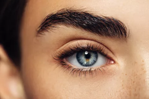 Cejas: por qué es fundamental hidratarlas ¿Sabías que tenés que hidratar tus cejas?