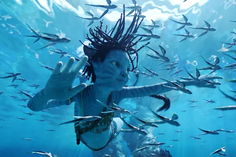 Avatar 2: el camino del agua ¿cuándo estrena en Disney+? Avatar 2 ya está disponible en cines.