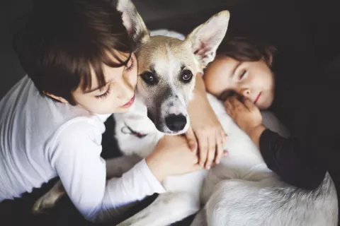 Mascotas: 5 buenos motivos para adoptar un perro y por qué puede ayudar al medio ambiente Adoptar un perro: los motivos para hacerlo.