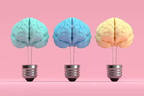 Neurociencias: estas son nuestras 7 inteligencias y cómo aprovecharlas 7-inteligencias-principal.png
