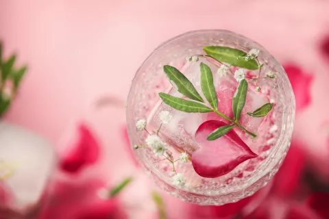 5 tragos súper fáciles y frescos para hacer en casa durante el verano 5 tragos fáciles e ideales para disfrutar en verano.