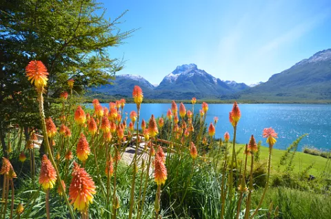 Agenda del verano en Bariloche: 10 actividades imperdibles para hacer Por qué deberías visitar Bariloche en verano.