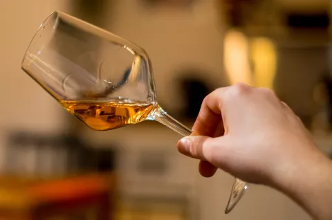 Vino naranjo: 5 botellas, ideales para conocer el nuevo boom entre los amantes del vino 5 botellas de vino naranjo que podés probar.