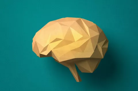 Salud: estos son los 7 consejos claves para mantener un cerebro sano 7 consejos claves para mantener un cerebro sano.