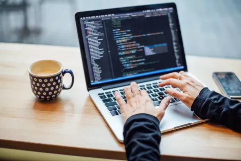 El empleo más demandado: pagan hasta u$s10.000 por mes, pero faltan profesionales El sector de tecnología encabeza la demanda de empleo.