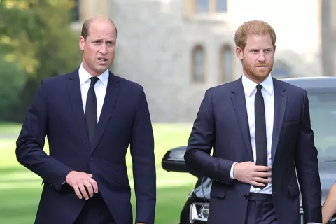 Harry denunció que fue víctima de agresiones físicas y verbales por parte de su hermano William Harry denunció que fue víctima de agresiones físicas y verbales por parte de su hermano William.