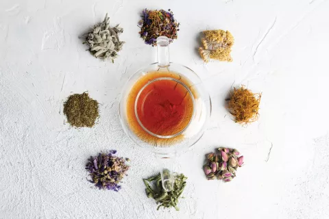 Rueda de plantas: ¿cómo usar las plantas medicinales para limpiar nuestro organismo y emociones? rueda-de-plantas-principal.png