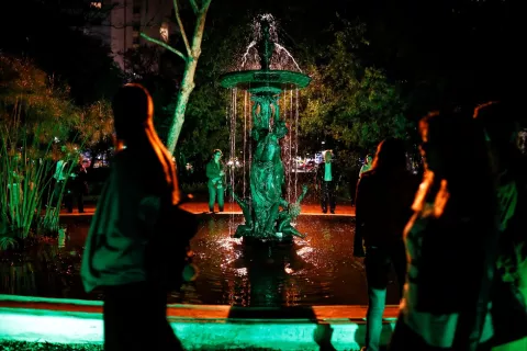 Noche Botánica: día, horario y cómo sumarte a este evento del Jardín Botánico Llega Noche Botánica, un encuentro para conmemorar el Día de la Mujer.