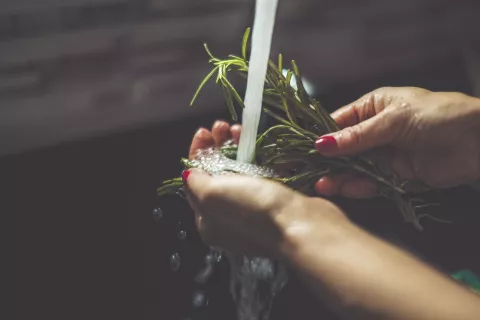 Agua de romero: cuáles son sus beneficios para tu pelo Cuáles son los beneficios del agua de romero.