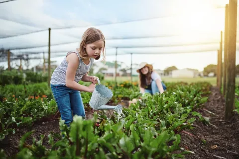 5 frases positivas para decirles a tus hijos 5 frases para criar hijos independientes.