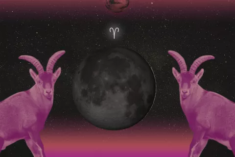 Luna nueva y eclipse solar: por qué es el momento ideal para hacer rituales para semilar nuevos comienzos Luna nueva en Aries y eclipse solar híbrido: cómo prepararnos.