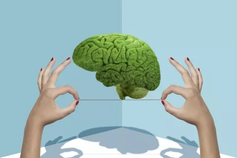 Neurociencias: consejos para aplicarlas al trabajo y fomentar el bienestar Neurociencias: ¿cómo usarlas a nuestro favor en el trabajo?