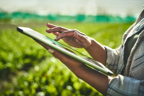 Huella de carbono: lanzaron la primera app argentina para medirla app-ambiente-abre.jpg