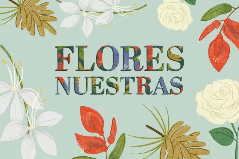 flores-principal_copia.jpg