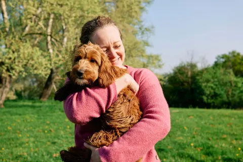 Día Mundial del Perro: ideas originales para agasajar a nuestros fieles compañeros Día Mundial del Perro: ¿cómo agasajarlos en su día?