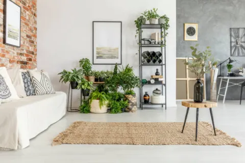 Biophilic design, una tendencia que suma naturaleza al hogar: ideas para implementarla Biophilic design, una tendencia que suma naturaleza al hogar