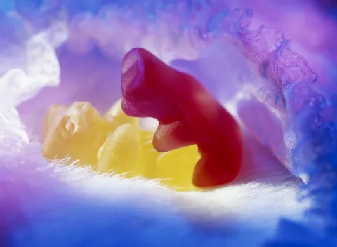 Bienestar: qué le pasa al cuerpo cuando dejás de tener sexo Qué pasa cuando no tenés sexo.