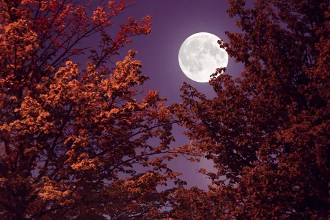 Superluna azul: mirar el cielo como nuestros antepasados Superluna azul: cómo aprovechar su energía poderosa