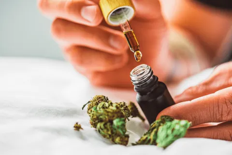 El Gobierno reglamentó la Ley de Cannabis: ¿qué se puede producir y consumir? El Gobierno reglamentó la Ley de Cannabis: ¿qué se puede producir y consumir?