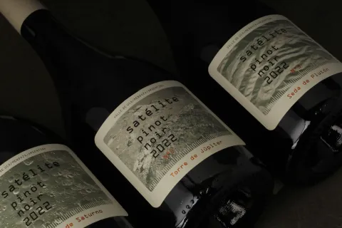 Vinos argentinos: 10 etiquetas de Pinot Noir que vas a querer probar 10 botellas de Pinot Noir que nos copan.