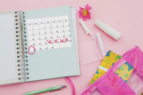 Estas son las diferentes fases del ciclo menstrual y qué le pasa a nuestro cuerpo en cada una Fases menstruales: cómo son y cómo afectan a nuestro cuerpo.