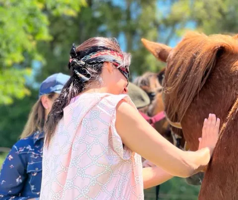 Participó de una sesión de coaching con caballos para reducir el estrés y esto es lo que aprendió de la experiencia Coaching con caballos para desconectar de la ciudad y conectar con nosotros mismos y el entorno natural.