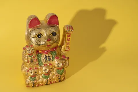 Predicciones 2024 según la astrología china: este es el signo que tendrá mayor fortuna Este será el signo de mayor fortuna, según la astrología china.